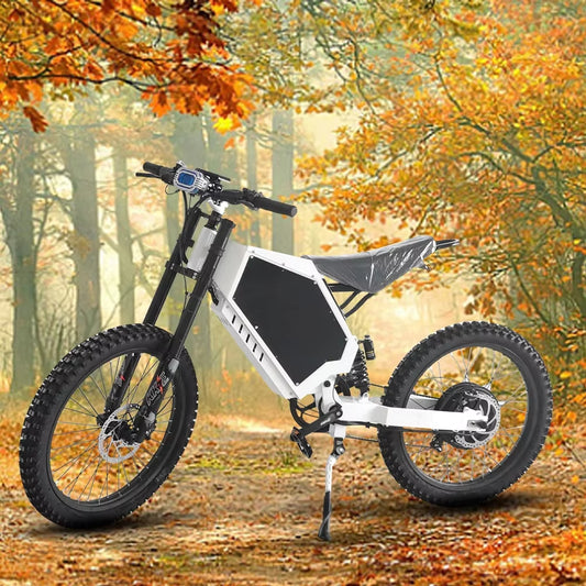 New Style Super Bomber 3000W Power Electric City Bike 48V 20AH Lithium Battery 20 Inch Tires for Adults